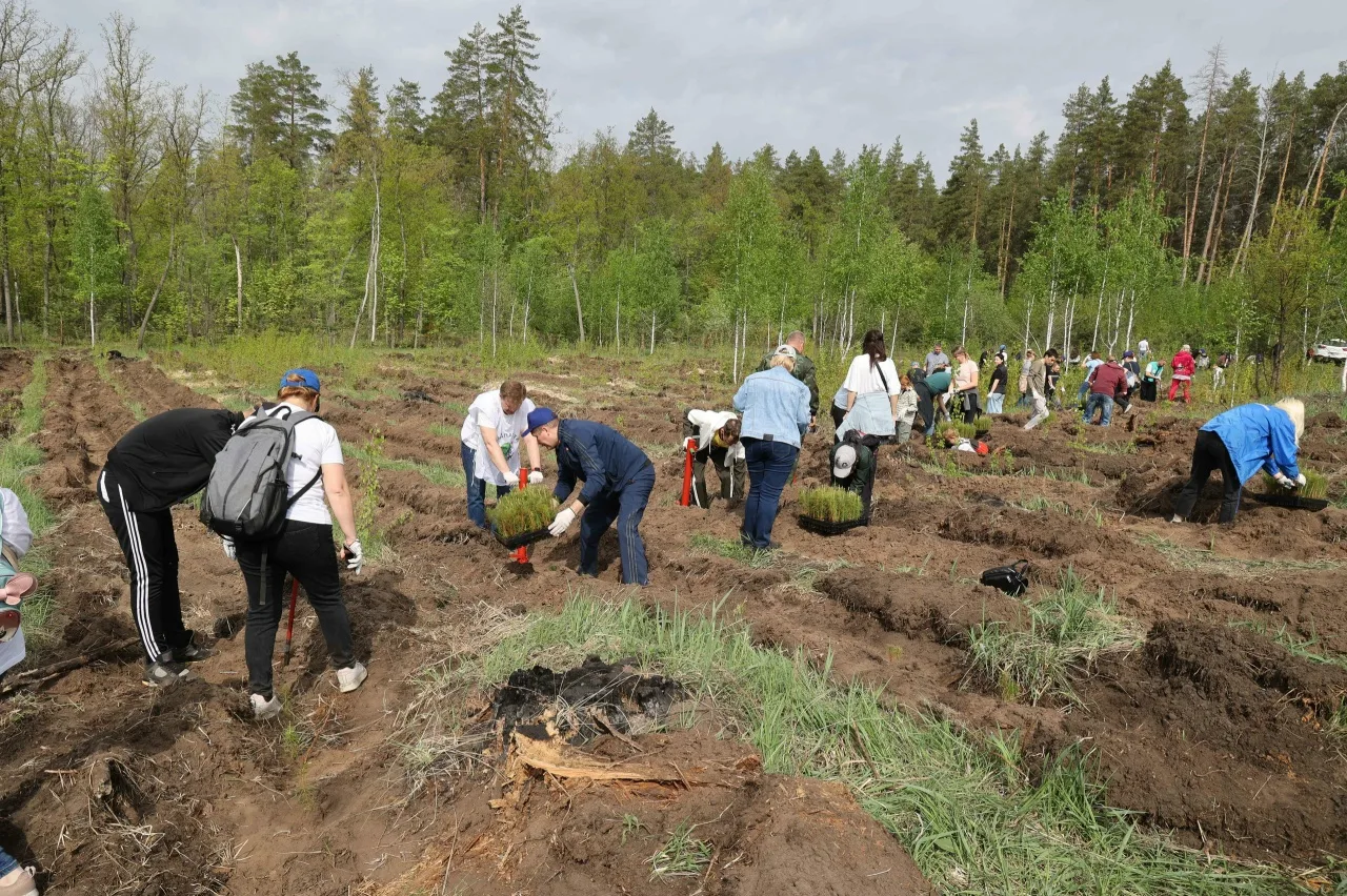 В администрации Тольятти прошло заседание экологического совета В администрации Тольятти прошло заседание экологического совета