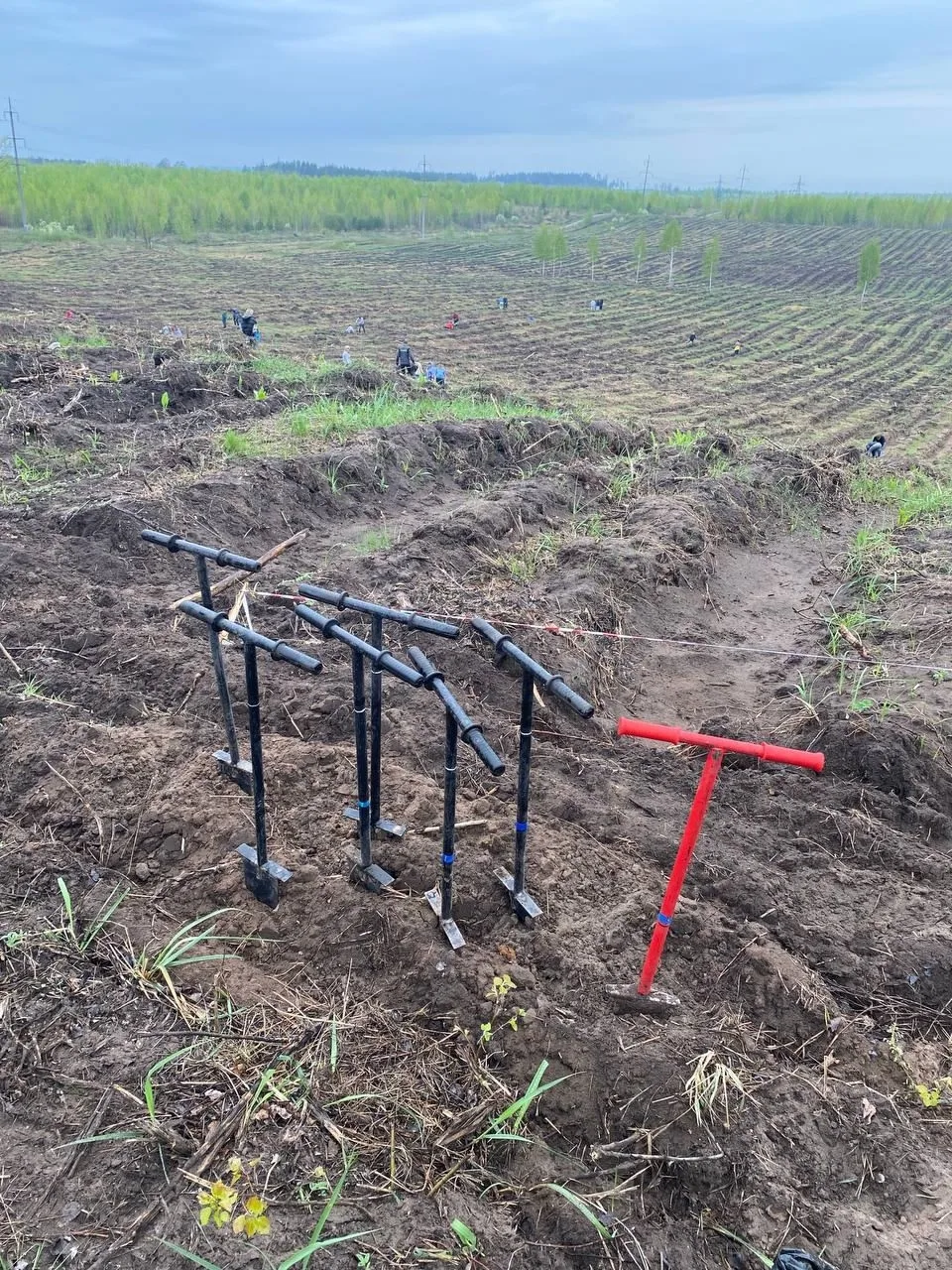 В администрации Тольятти прошло заседание экологического совета