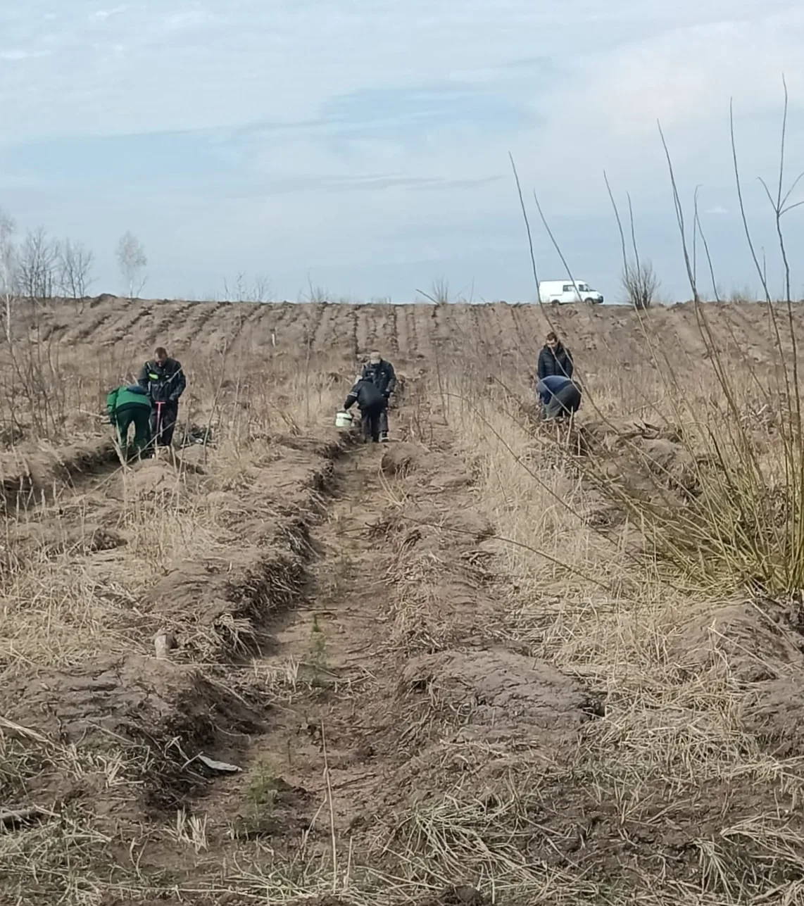 В администрации Тольятти прошло заседание экологического совета В администрации Тольятти прошло заседание экологического совета
