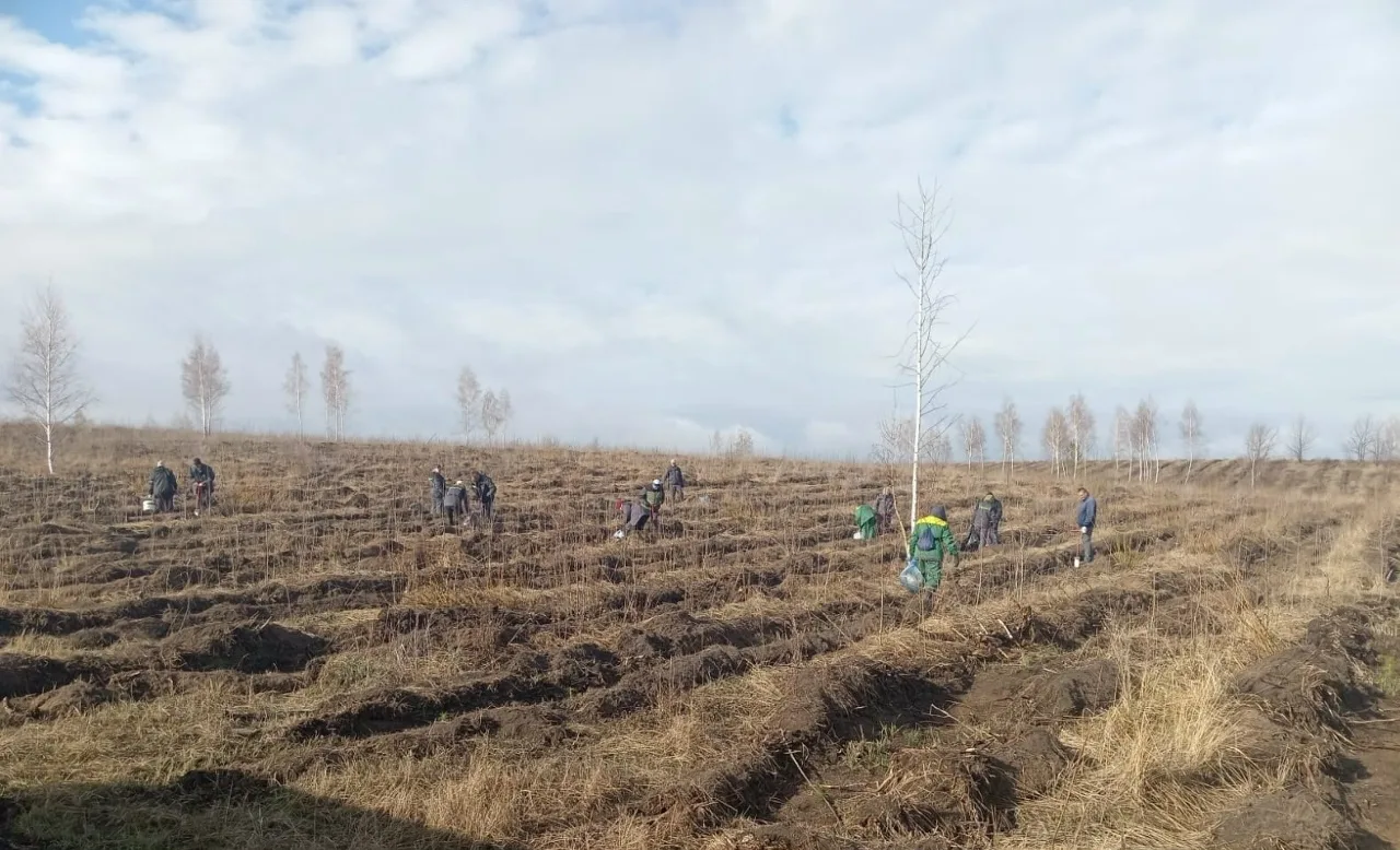 В администрации Тольятти прошло заседание экологического совета В администрации Тольятти прошло заседание экологического совета