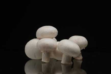 ������� �����������: ���������� �����, ������� ���������� ������������� � ������