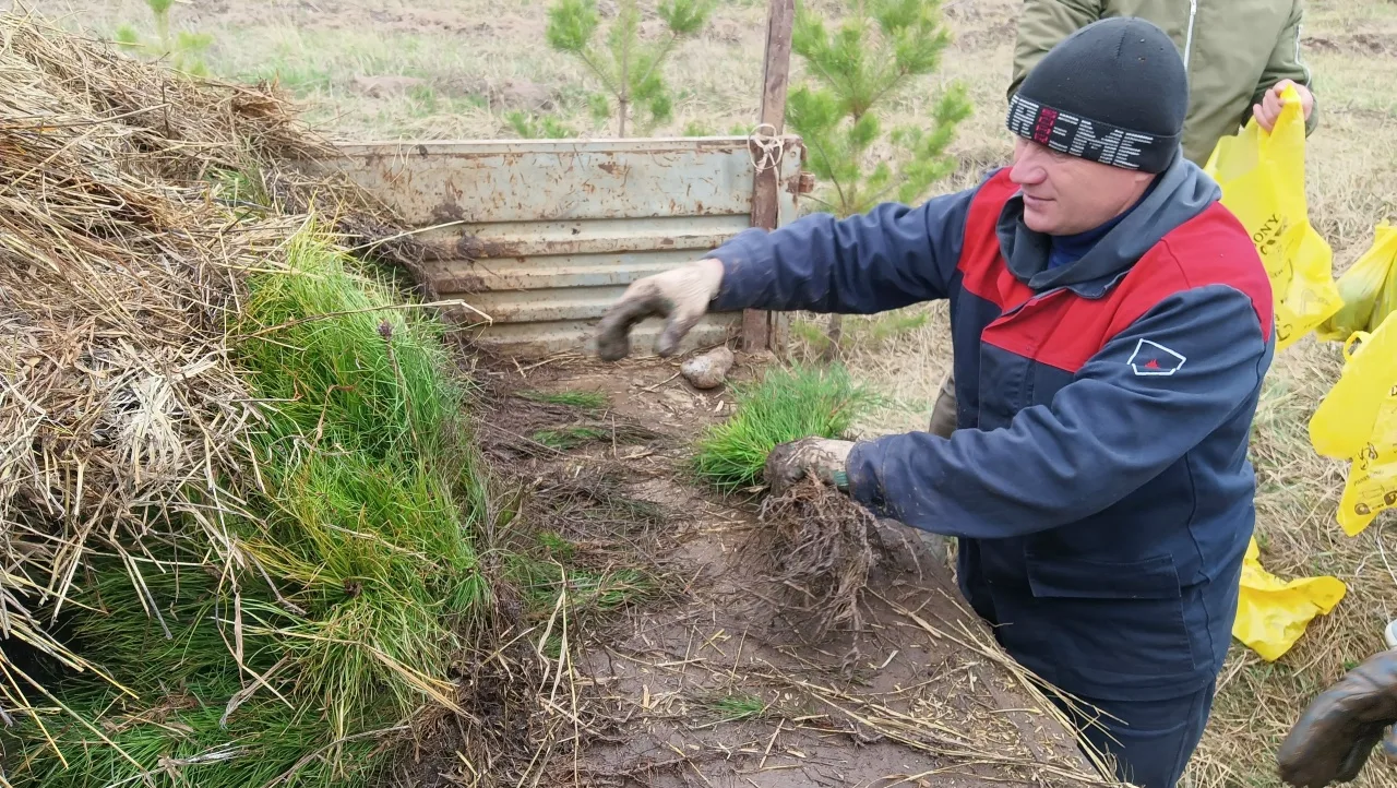В администрации Тольятти прошло заседание экологического совета В администрации Тольятти прошло заседание экологического совета