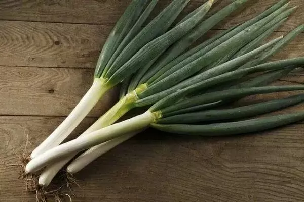 Огурец сорта «Зелёный змей»: уникальный выбор для огородников