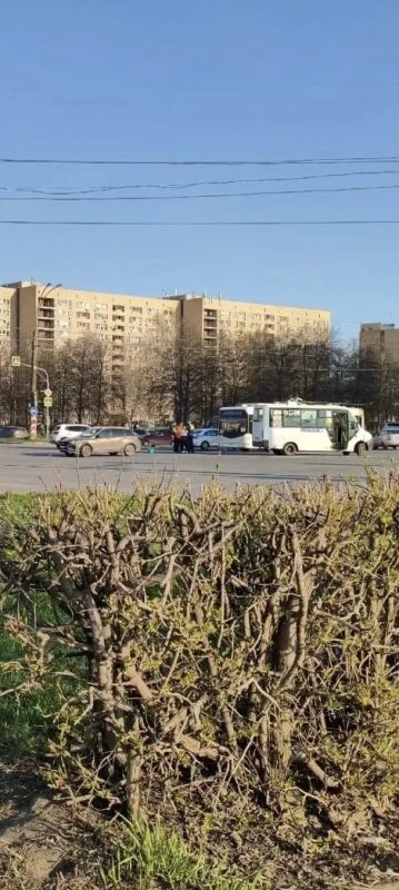 ����������, ������ � �����������