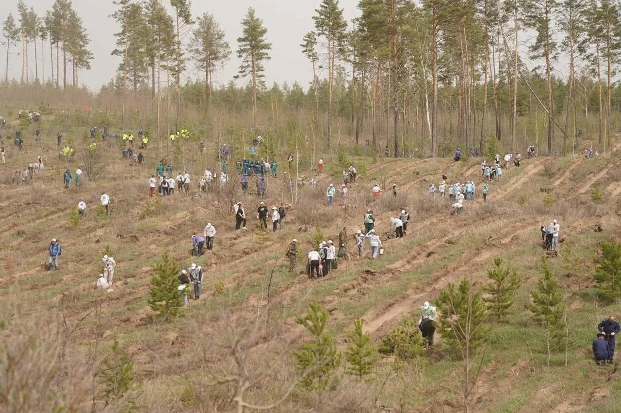 В администрации Тольятти прошло заседание экологического совета В администрации Тольятти прошло заседание экологического совета