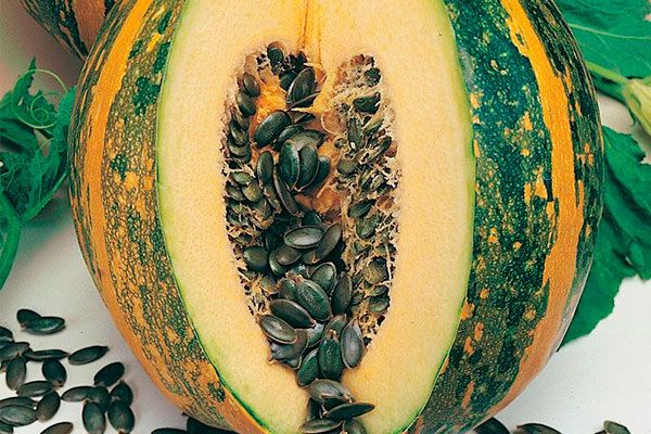 ���������� �����: ������� ������ � ����� �������