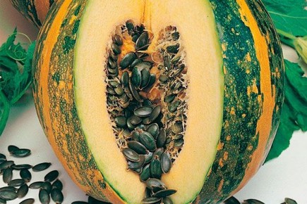 ���������� �����: ������� ������ � ����� �������