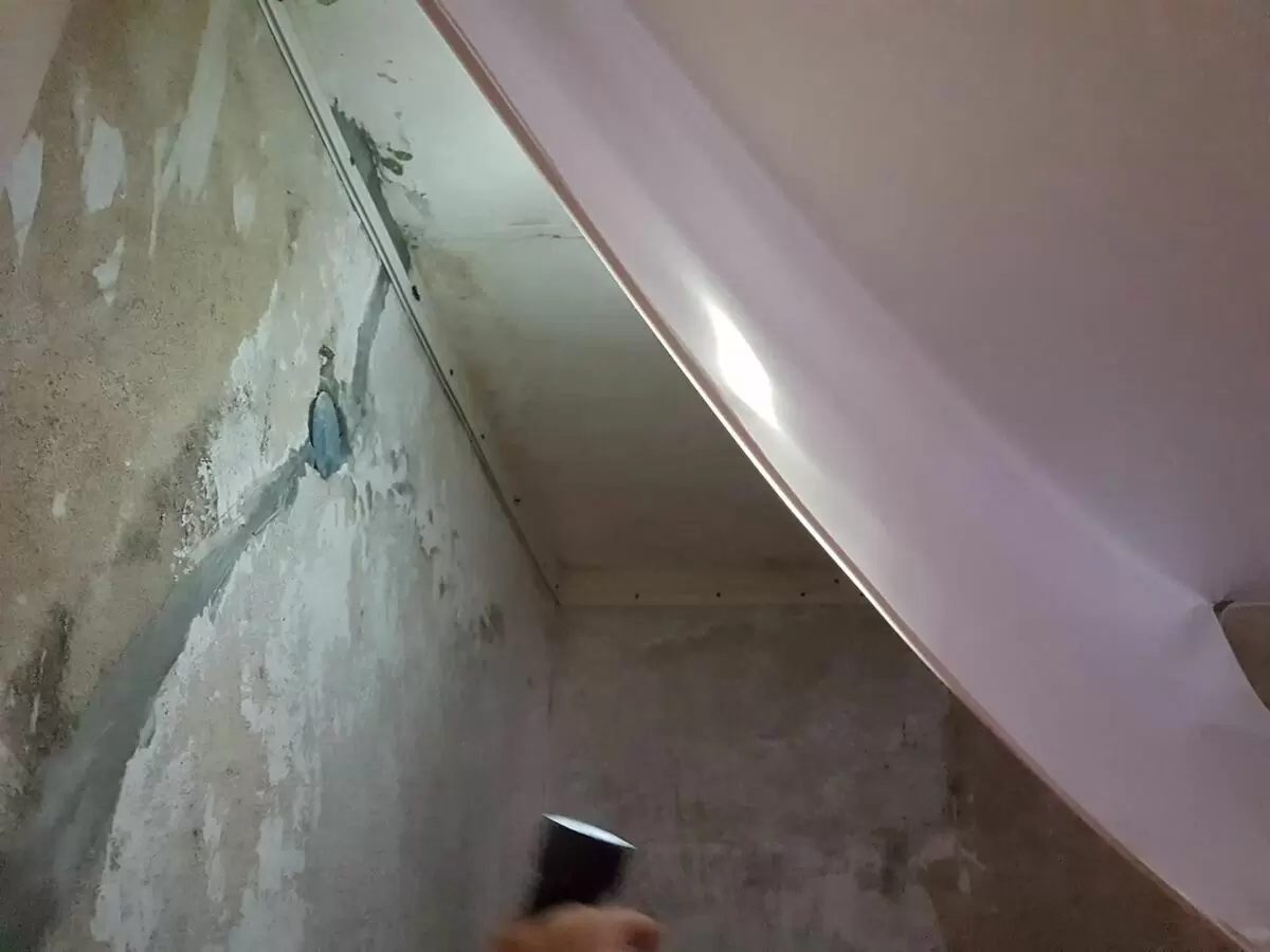 Плесень за натяжным потолком: незаметная угроза