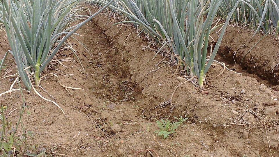 � ���������� ���� ����� � ������� ���������� ������� � �������� �������