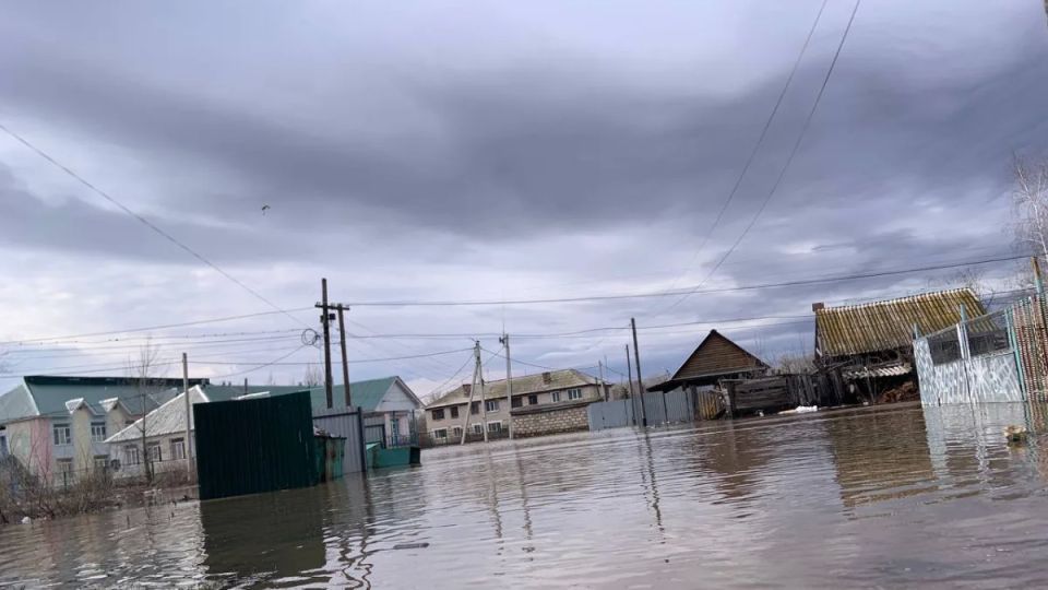 ��� ������� ���� ��� ���� 88 ������ ��������