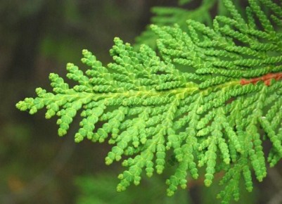 10 �������� ������ ��� �������� ������� �������: ��� �������� ���������������� ������