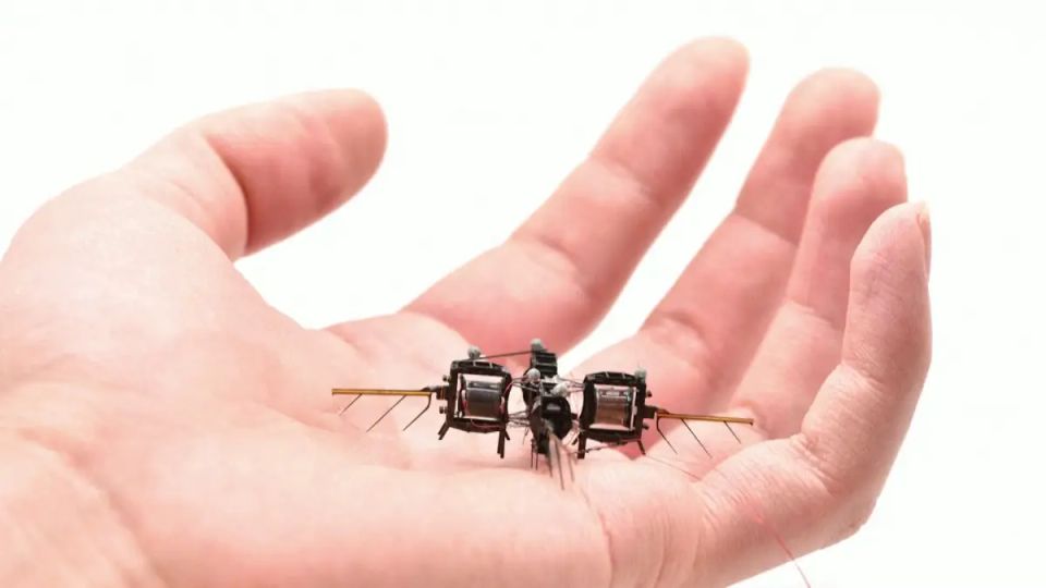 ������-���������: ��������� � ���� ����������� ��� ��������� ���������?