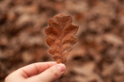 ������� ���������� �����������: ����� �������, ������� ������� ����