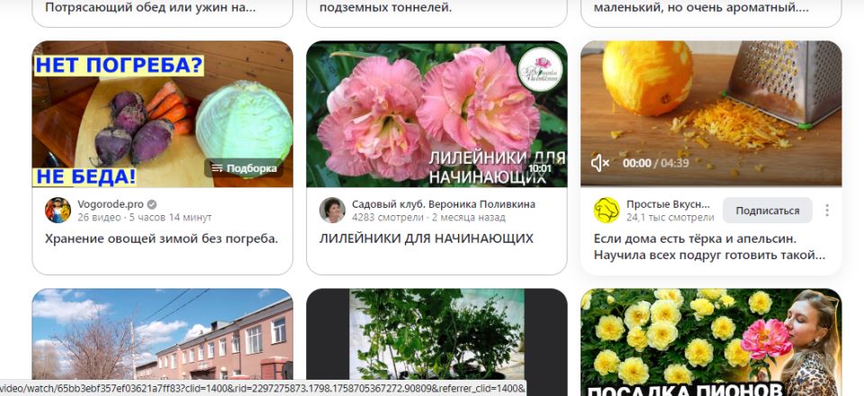 ����: ����������� � �������� ���������������� �������