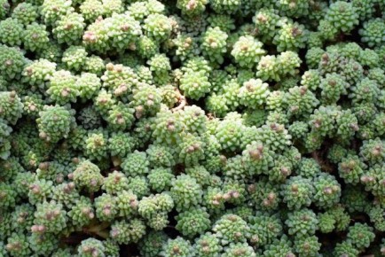 �������� ��������: ��������� ��������� ��� ������ �����������