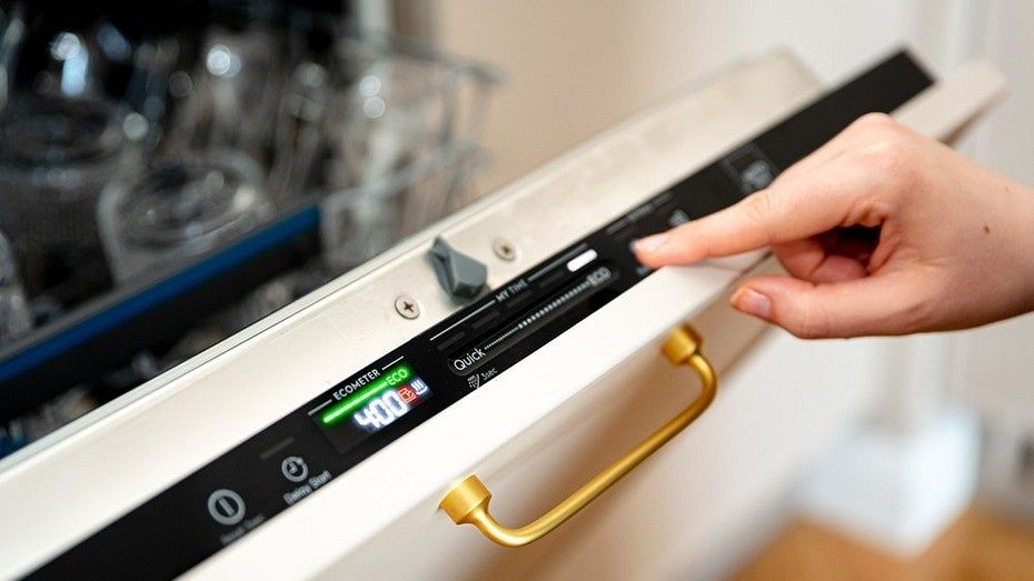 ������������ ����, ������� ����� ����� ������ � �����������