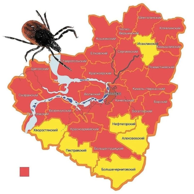 ����-����������� ������� ��������� ����������, ��� �������� ����� ����� � ��� ������, ���� ��� ���������