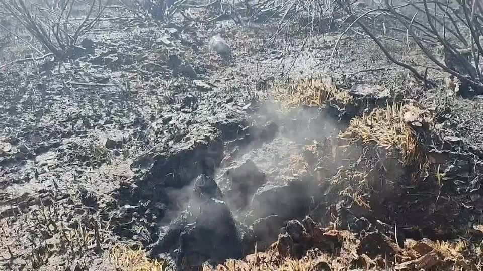 ���� �����: ��������� �����������!. ������� ��������� ������� ����������� ��������� ����� ��������� �������������