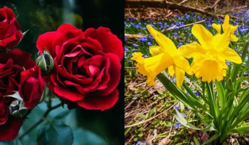 ����� ������� ������: �������, ����� ������ ������������� ��� ���� ��������