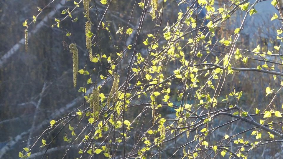 ������, ��������!. ������ � ��� ������ ��������� ���? �������, 19 ������ ������ ��� �� �������! �������, ����� ���� �������� � ���� ���������� �����