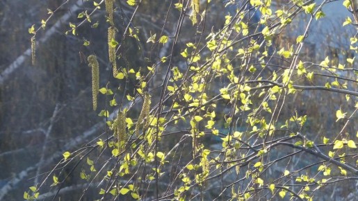 ������, ��������!. ������ � ��� ������ ��������� ���? �������, 19 ������ ������ ��� �� �������! �������, ����� ���� �������� � ���� ���������� �����