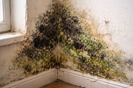 ������� �� ������: ��� ��������� ���������� �������� �� ������