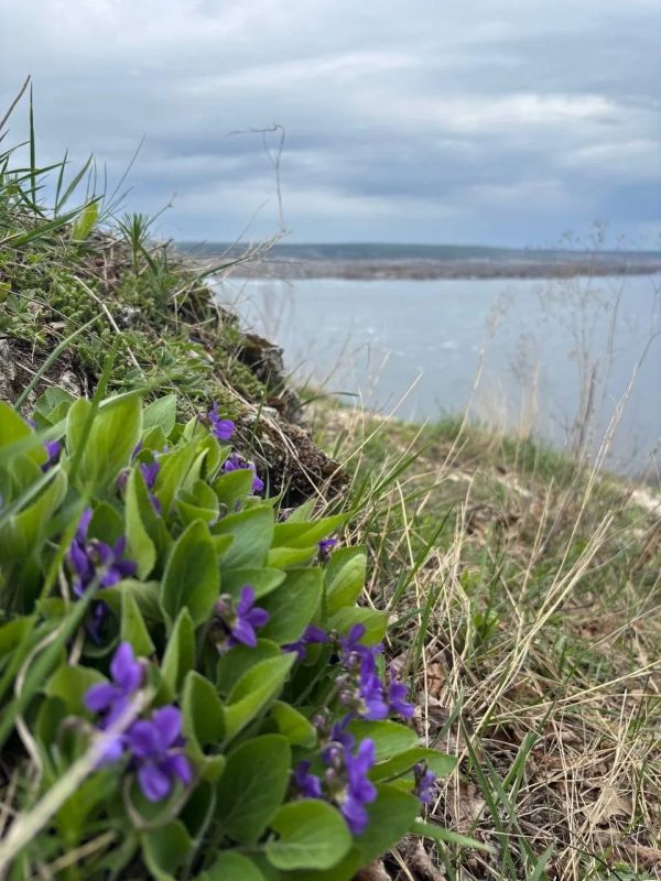 ������ ����, ��������!. �� ��������� 21 ������