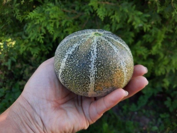 ���� � ������� ������: ����� �� ��������� � ������?