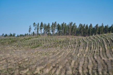 ��������������� ������ ���