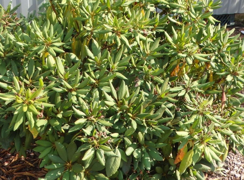 ��������� ���������� � ������������ ��������� ������� ������ �� ���� � �����