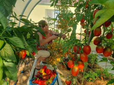 � �������, �������: ��� ������� ��������� �������� � ��������