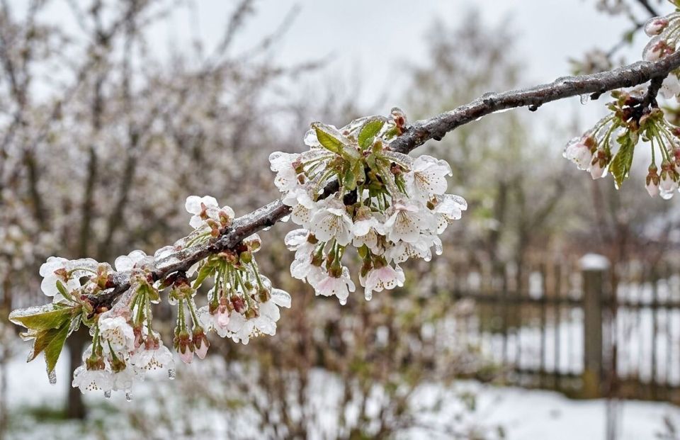 ��� �������� �������� �������� �� ����������