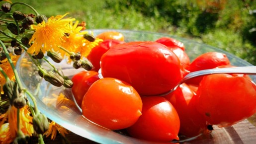 ������������� ����: ��������� ������� ������������ ���������