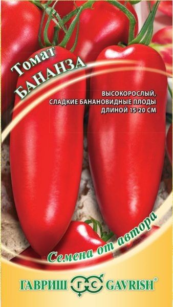 ���������� ���� �������: ������� ��������� ����������� "�������"