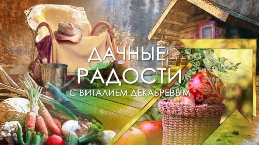 ��� ����� ���� � ������ �� ����! � ���� ������� ����� �������� ��������� ������� ������� � �������� ��������� �� ���������� �������� 24