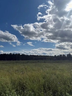 25 ������ �� ���� �������� ���� ������� ����������