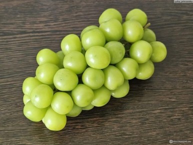 �������: ������������ �������� � ������������� ������ �������