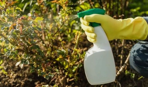 ��� ������������ � ����� ����� ����: ������ �� ���������� � �����