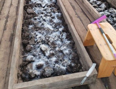 ������ ����� ���� �� ����� ����� ������ ���� � ��� ��������� � ���� �������?