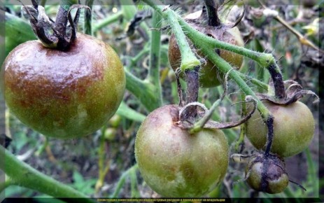 �������� ���������: ��� ����� ����� ��������