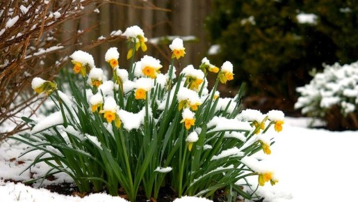 ������ ���������� ��������: ����� ����� ������� ������ ��������