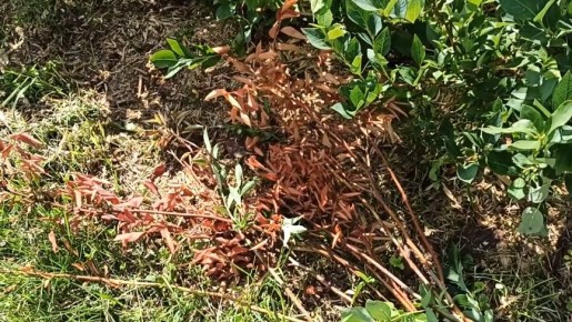 ��� ������� �������� ����� ���������� ���������� ������ �� ������ ����?