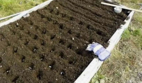 ��������� ������ ��� �������: ����������, ������� ������ ��