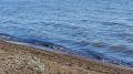 ��������� ����� ��������� � ������ � ������� ���������