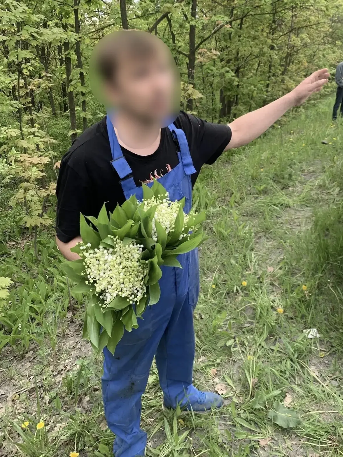 Илья Сухих: За продажу первоцветов — штраф! Илья Сухих: За продажу первоцветов — штраф!