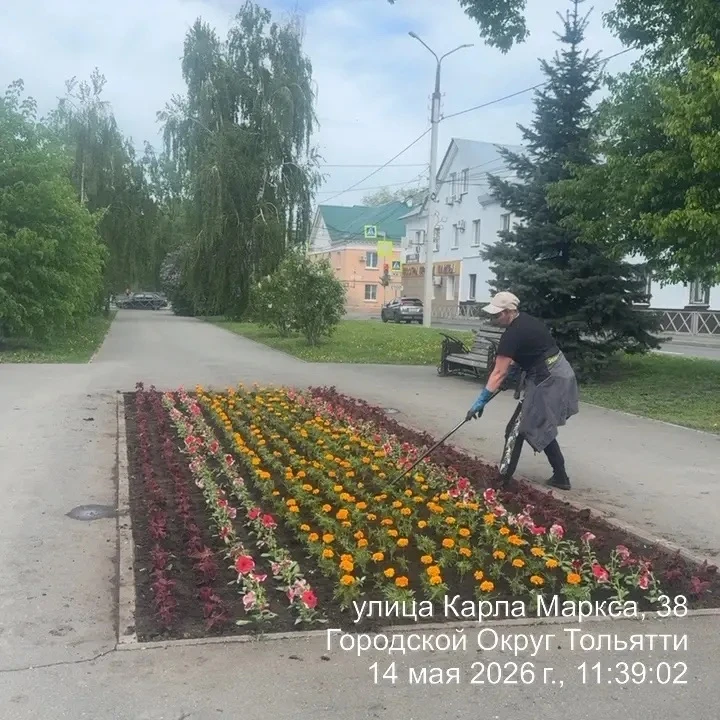 Посмотрите, какая красота! Посмотрите, какая красота!