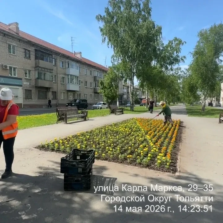 Посмотрите, какая красота! Посмотрите, какая красота!