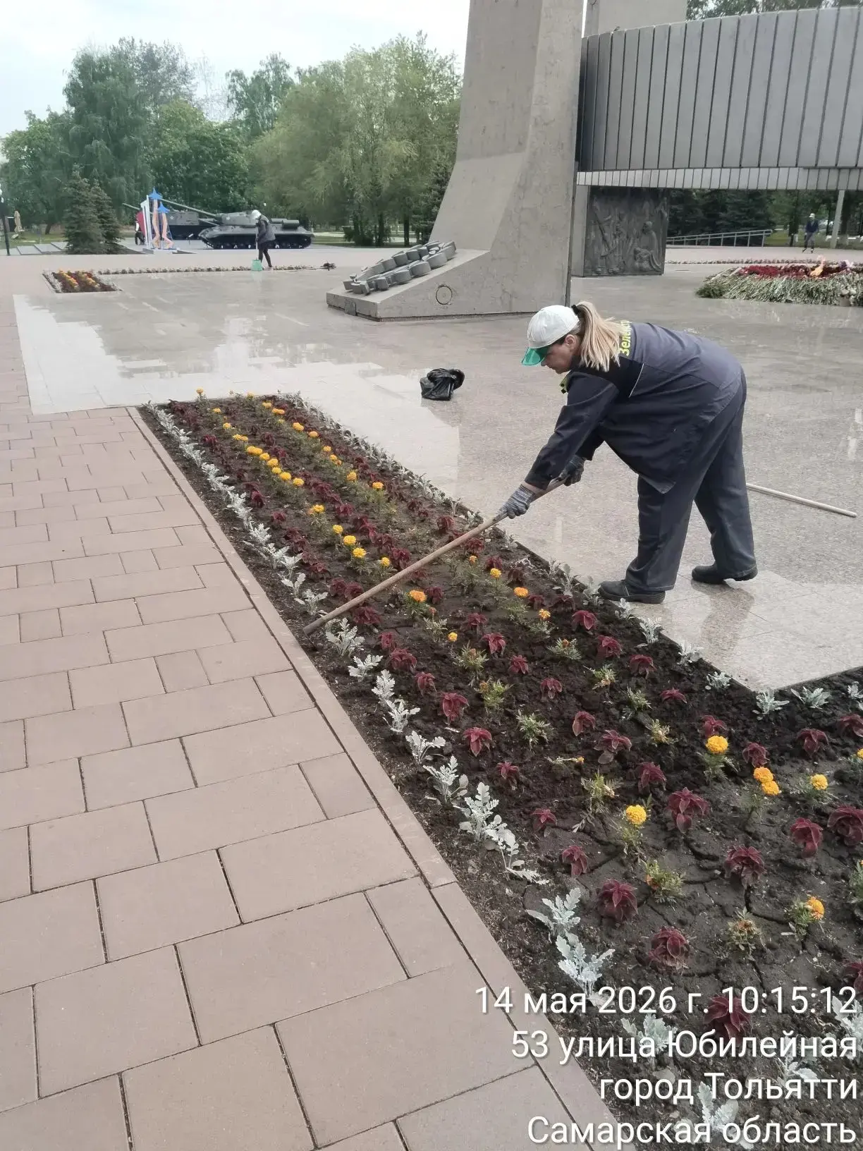 Посмотрите, какая красота! Посмотрите, какая красота!