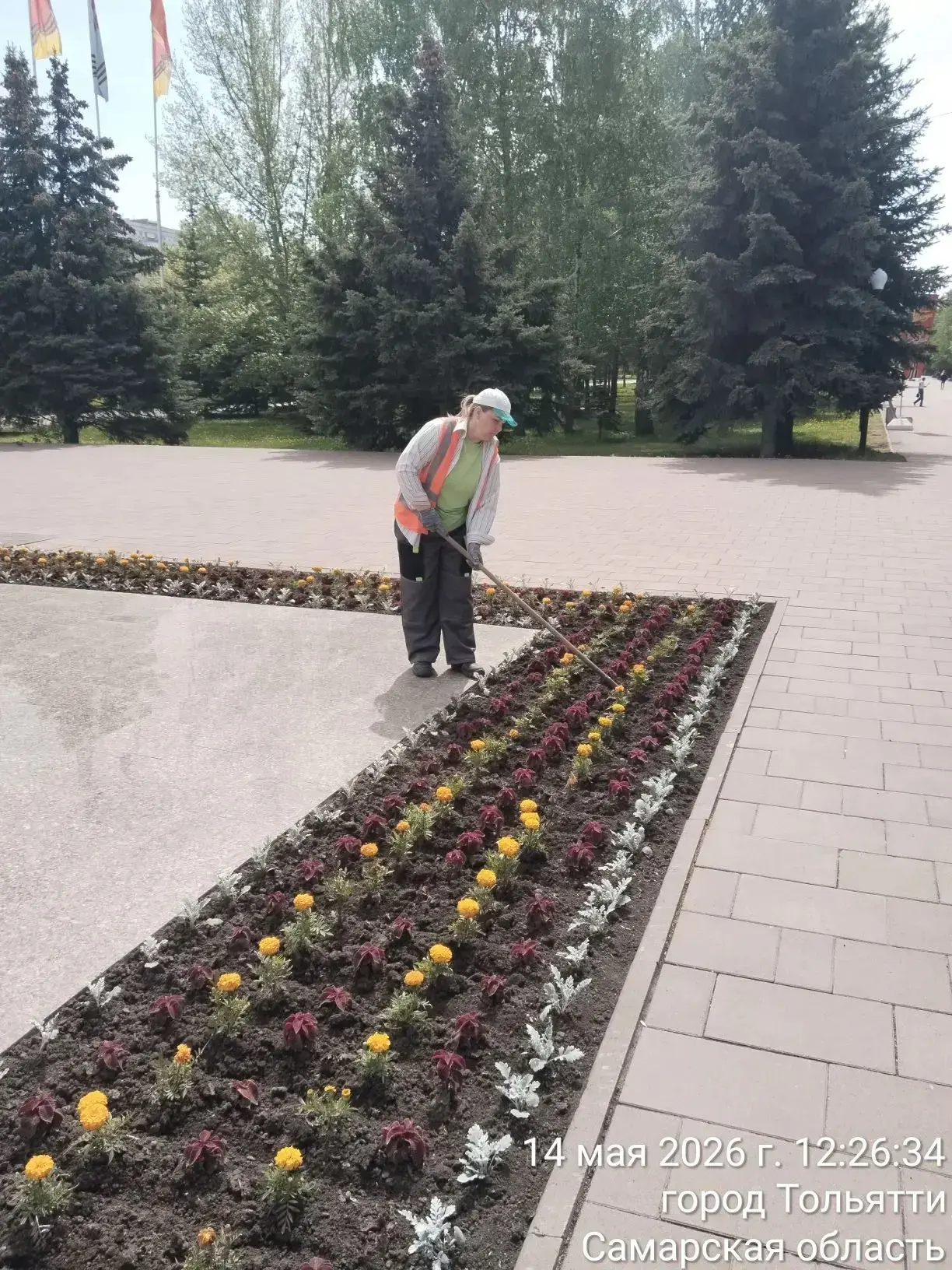 Посмотрите, какая красота! Посмотрите, какая красота!