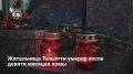 Жительница Тольятти, впавшая в кому после несчастного случая с яблоком, скончалась 19 мая в больнице Санкт-Петербурга